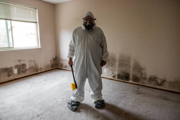 Best Emergency Mold Remediation in Price, UT